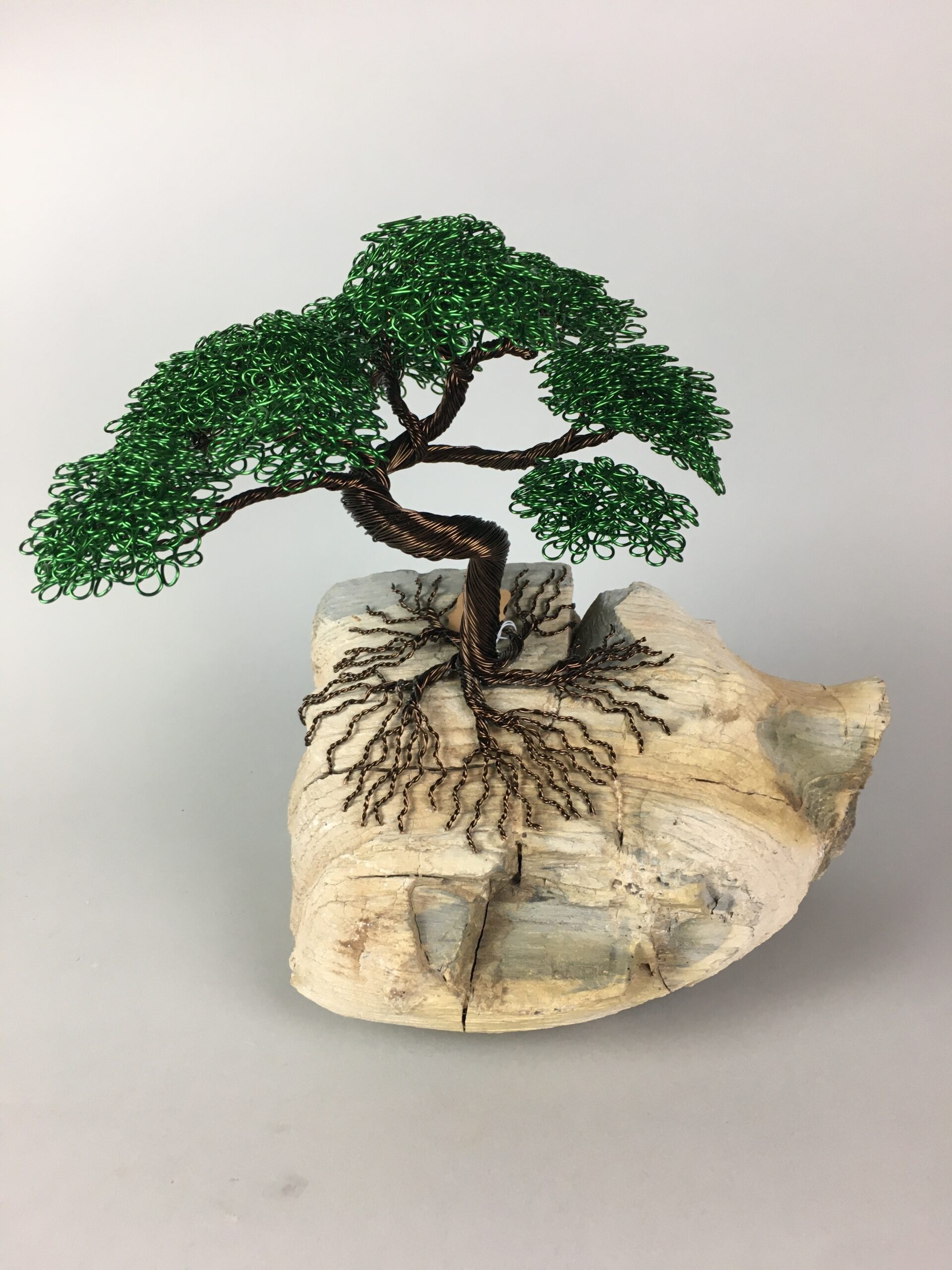 ajw-t146-bonsai-tree