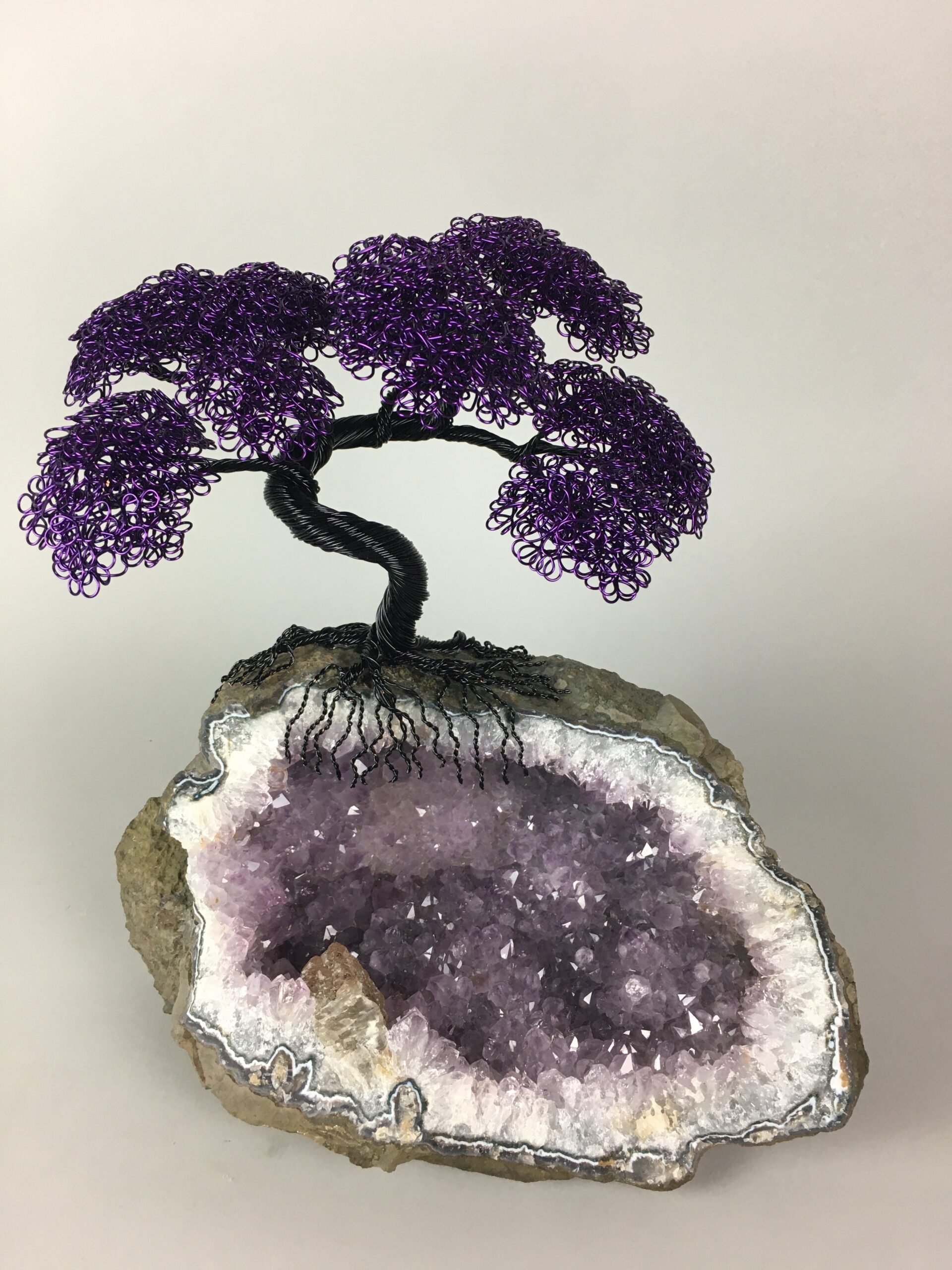 ajw-t147-bonsai-tree