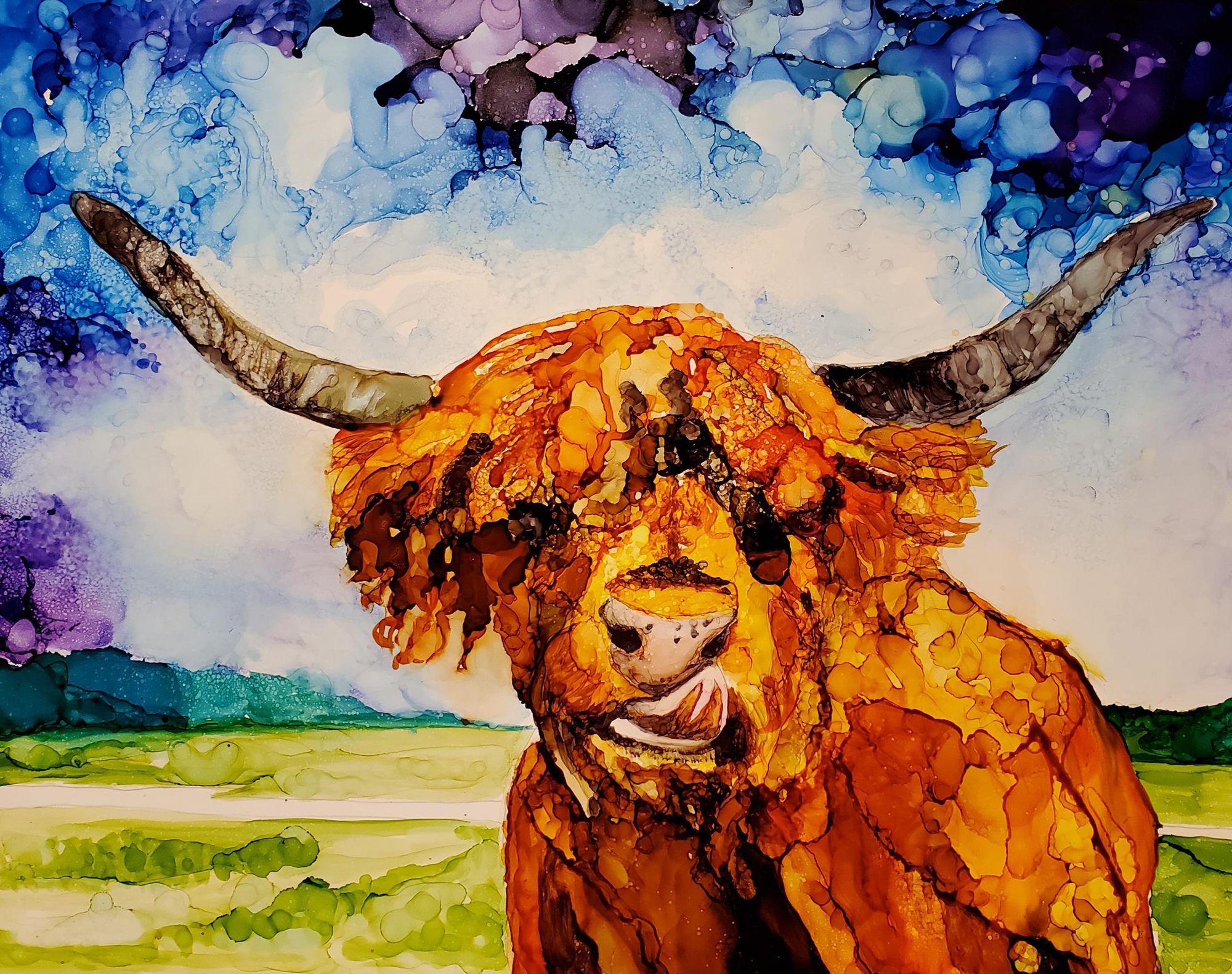 web-Highland-Cow