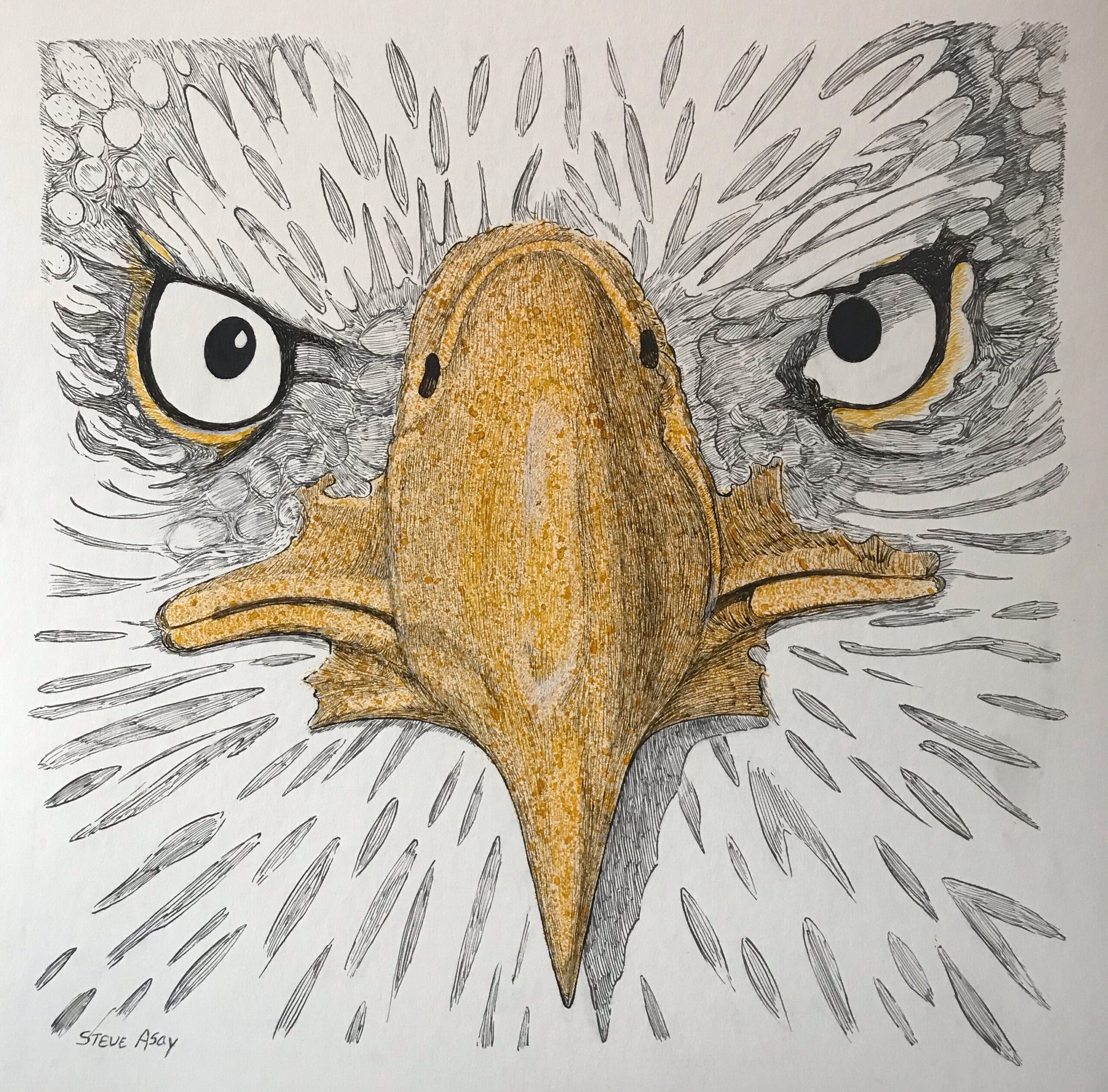 Eagle Face (3)
